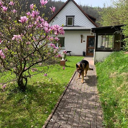Ferienhaus Andrea Am Bodetal 트레세부르크 외부 사진