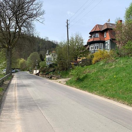 Ferienhaus Andrea Am Bodetal 트레세부르크 외부 사진