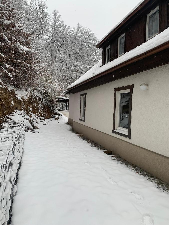 Ferienhaus Andrea Am Bodetal 트레세부르크 외부 사진
