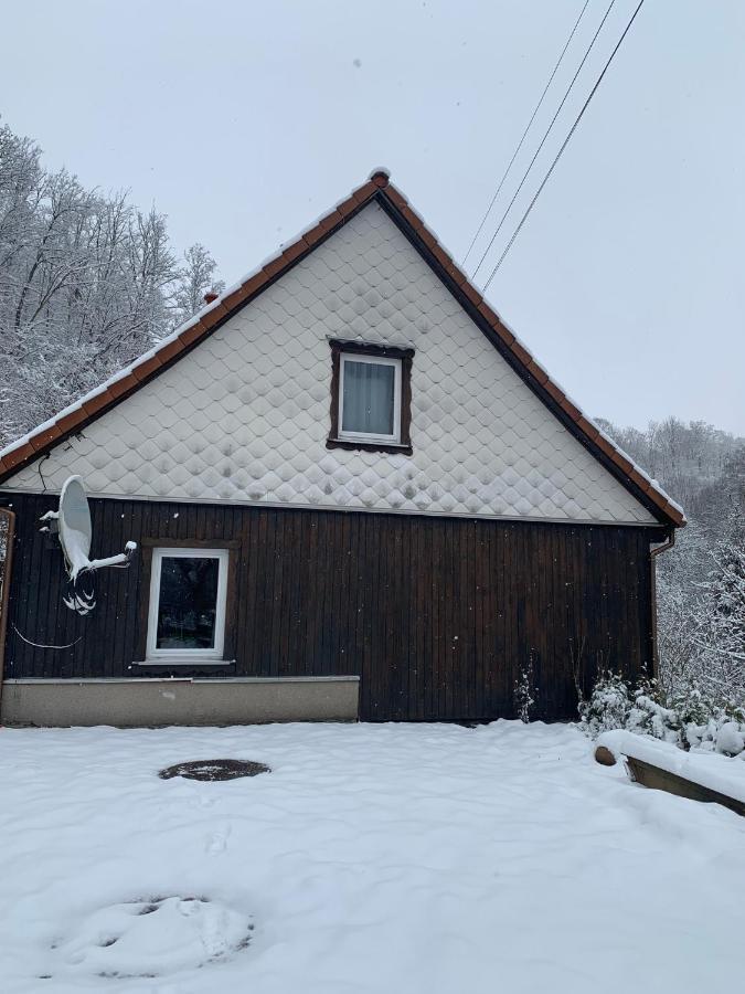 Ferienhaus Andrea Am Bodetal 트레세부르크 외부 사진