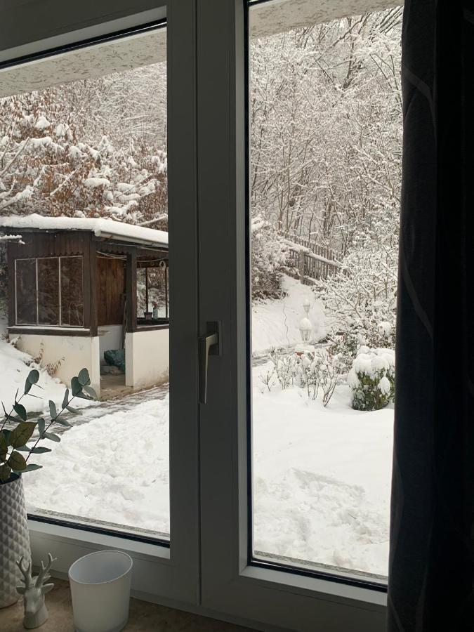 Ferienhaus Andrea Am Bodetal 트레세부르크 외부 사진