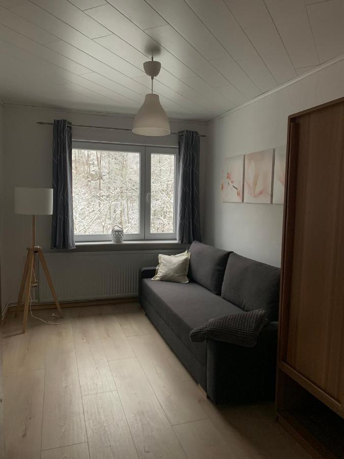 Ferienhaus Andrea Am Bodetal 트레세부르크 외부 사진