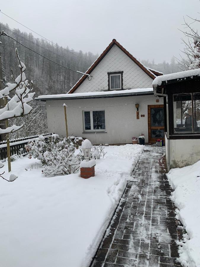 Ferienhaus Andrea Am Bodetal 트레세부르크 외부 사진