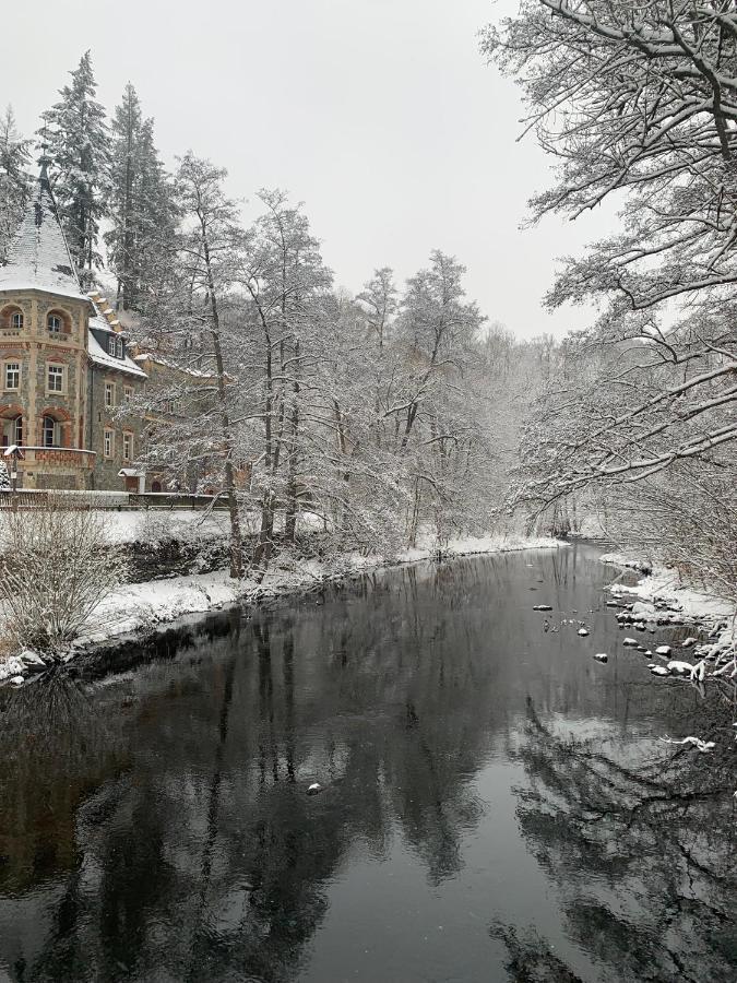Ferienhaus Andrea Am Bodetal 트레세부르크 외부 사진