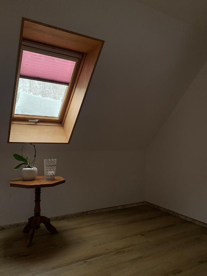 Ferienhaus Andrea Am Bodetal 트레세부르크 외부 사진