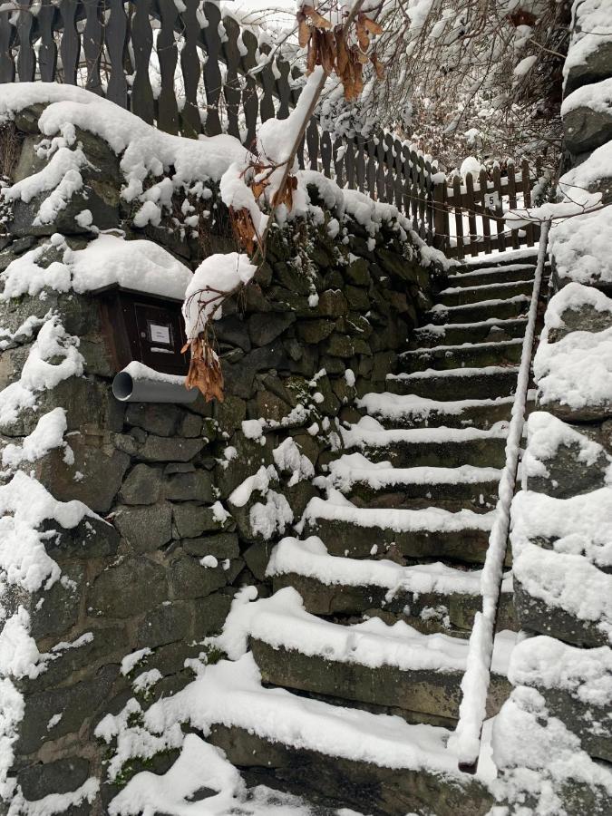 Ferienhaus Andrea Am Bodetal 트레세부르크 외부 사진
