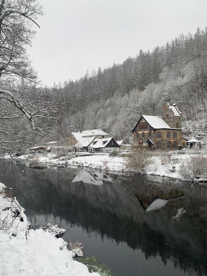 Ferienhaus Andrea Am Bodetal 트레세부르크 외부 사진